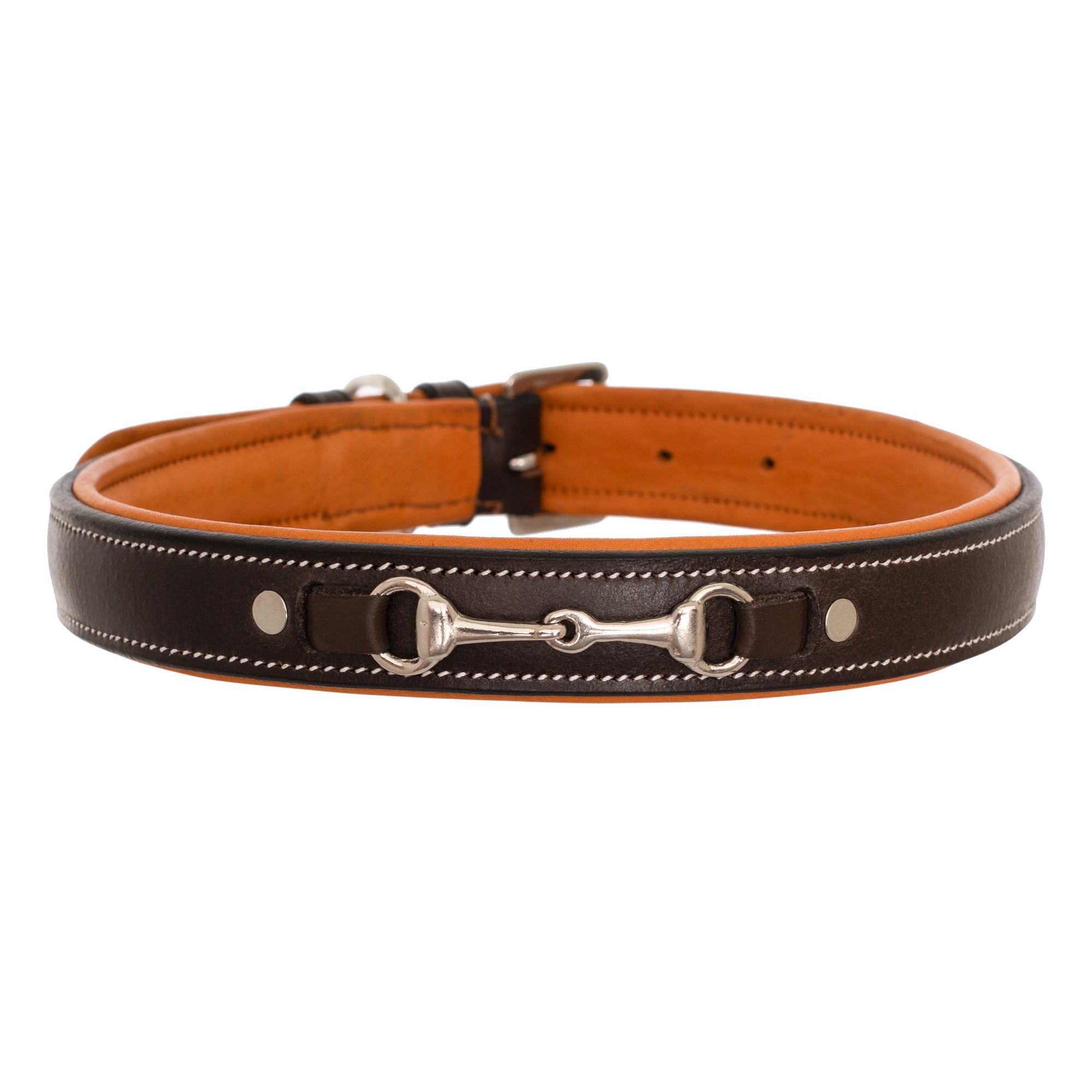 Best Dog Collars and Leashes - Bridles & Reins