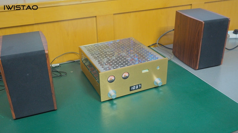 IWISTAO Tube FM Stereo Radio Built-in Power Amplifier 6P1 Whole Aluminum Chassis Gold HIFI Audio 220V Gold Casing