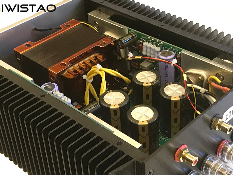 IWISTAO Single-ended DC Pure Class A Warm Sound Gold Sealed FET Finished Power Amplifier Post-stage Amp Pass ACA for Electronic Frequency Division insider