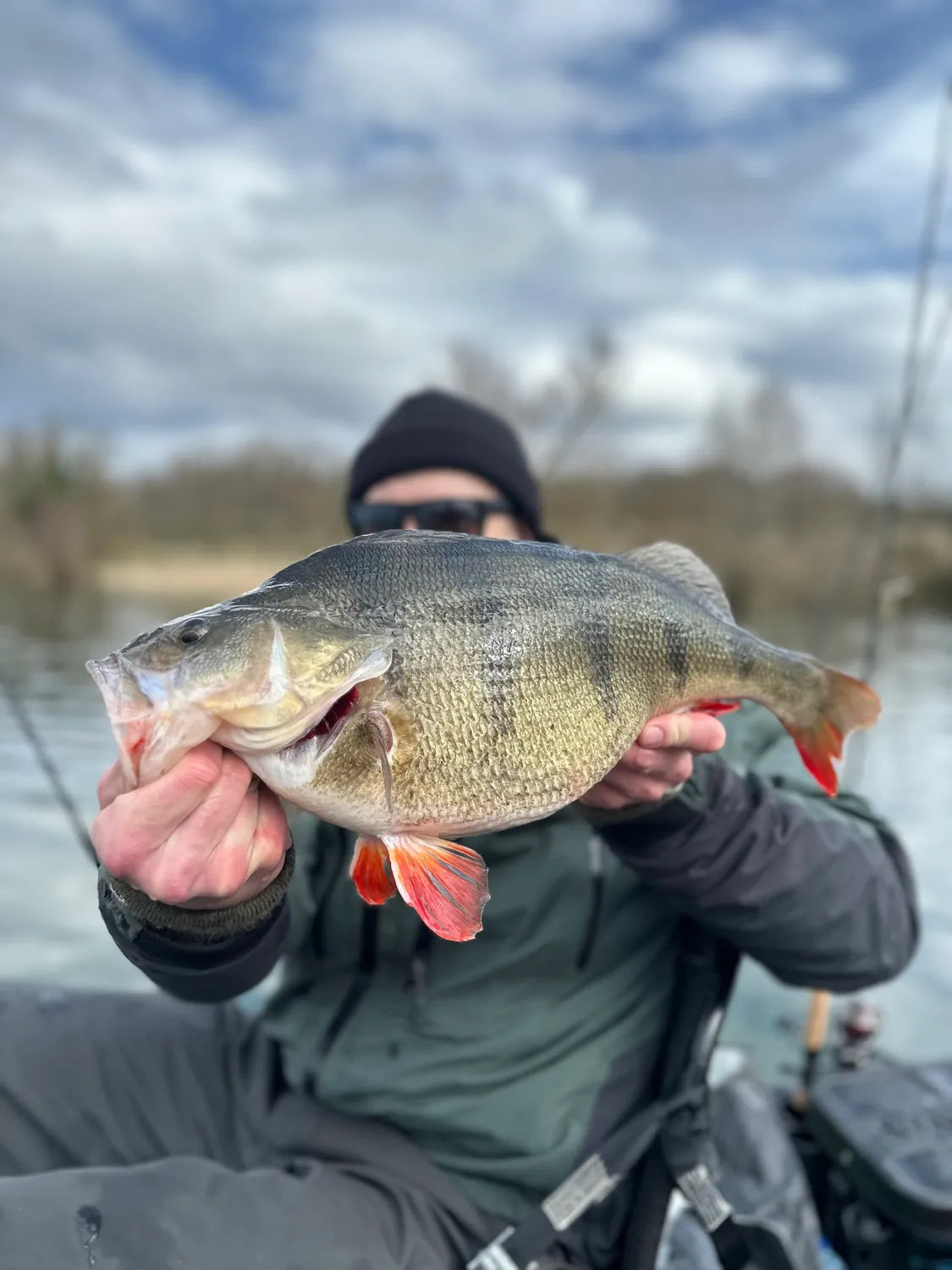 I got my new rod and reel combo and when kajak fishing with a friend. We need the perch were around big trees in the water but without livescope it was hard to find those trees.
So my plan was to cruise down the shore and search for some shallow hunting perch with chatterbaits and small cranks. In the end the tiny blitz closed the deal with that 50cm perch!