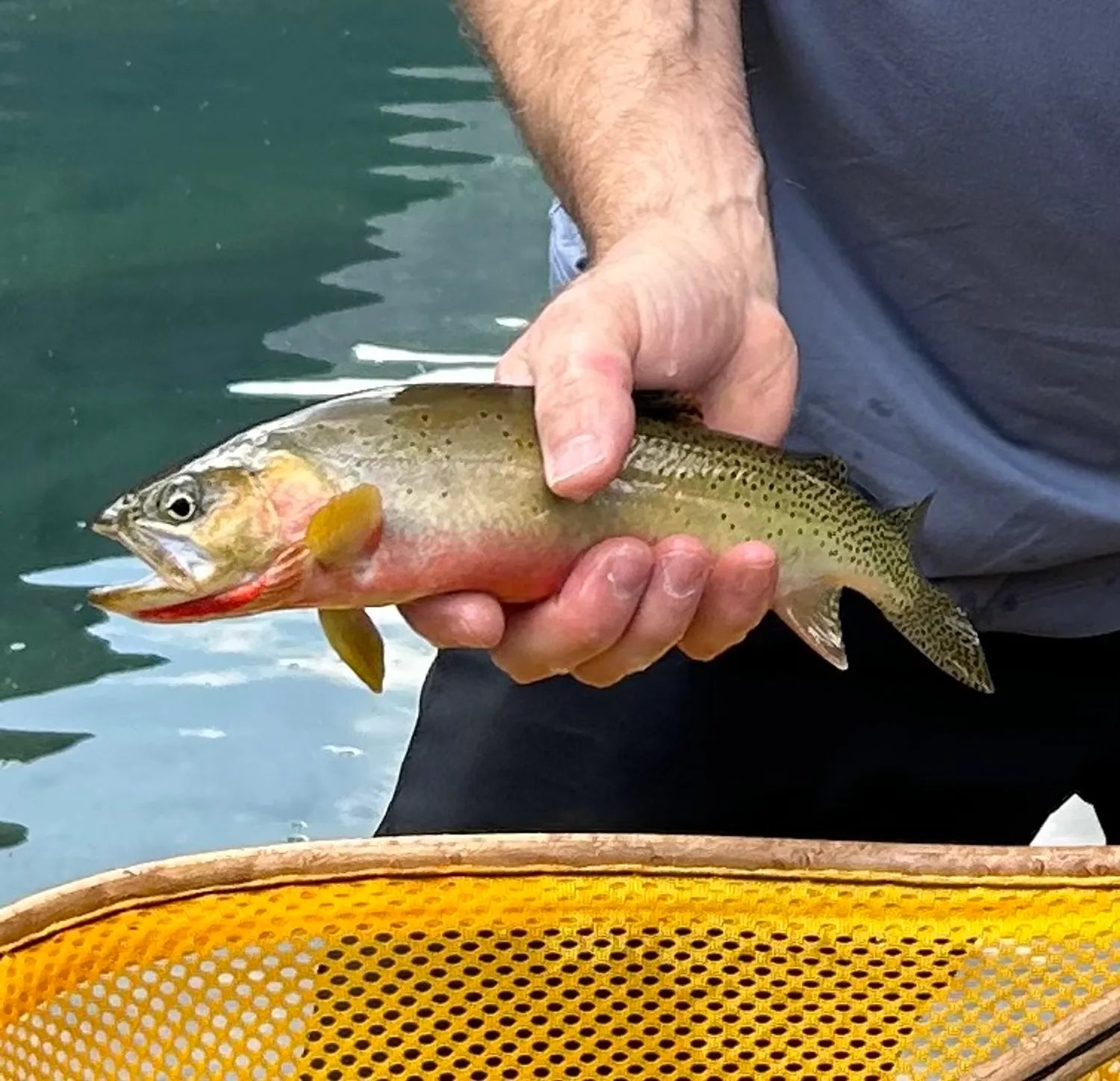Inshore fishing in Costa Rica and trout fishing in Canada with gear from JDM Tackle 