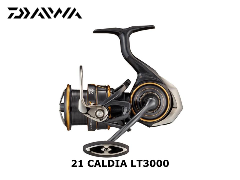 Daiwa 21 Caldia LT3000-CXH SLPW カスタム