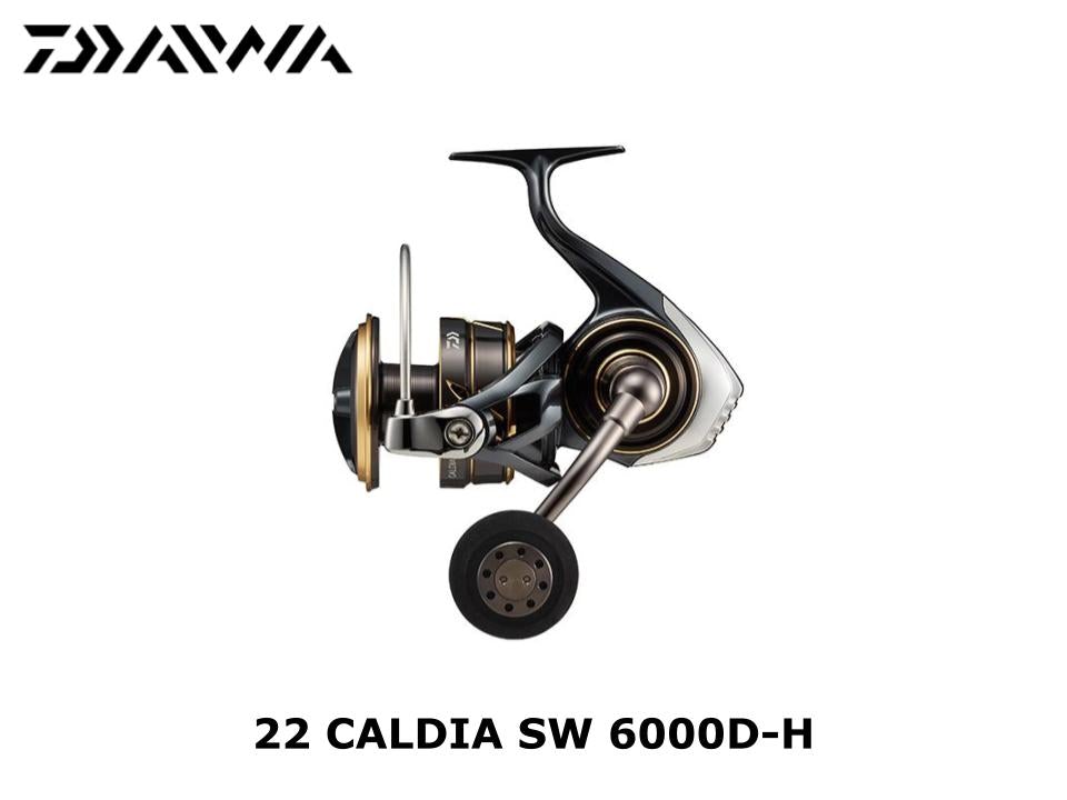 ダイワ 22 カルディアSW 6000D-H - リール
