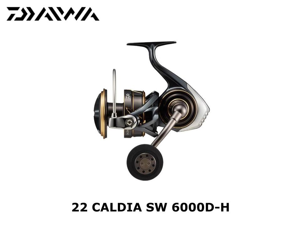 Daiwa 22 Caldia SW 18000 – JDM TACKLE HEAVEN