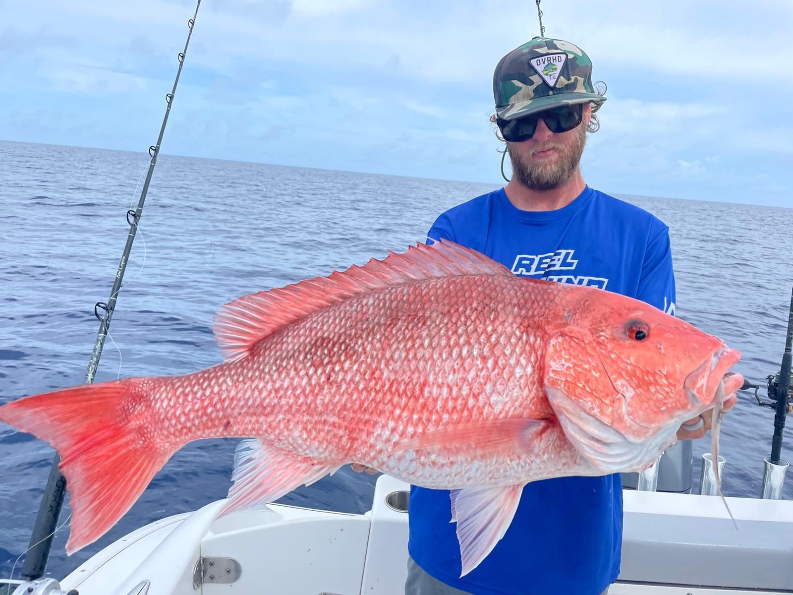 How To Catch Snapper in Florida? FIshing Blog