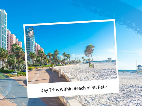 st pete tours