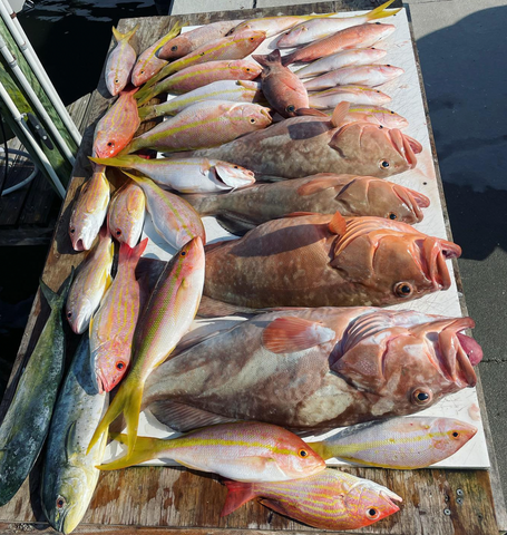 FWC approves new Florida Saltwater Fishing Records