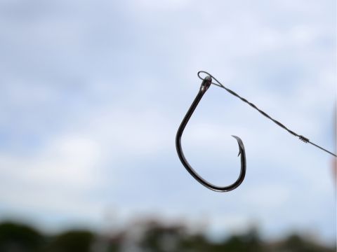 Complete Fishing Hook Guide: With Hook Size Chart