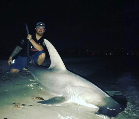 Man kneeling on the beach at night beside a large shark, highlighting the experience of shark fishing on the Florida coast
