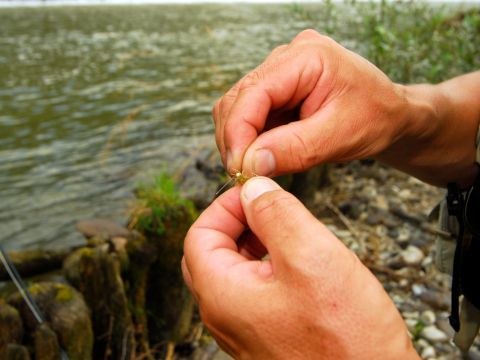 best fishing knots for fluorocarbon