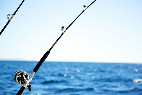 which fishing reels to buy