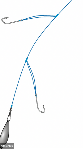 The Ultimate Guide to Learn How to Tie a Fishing knot