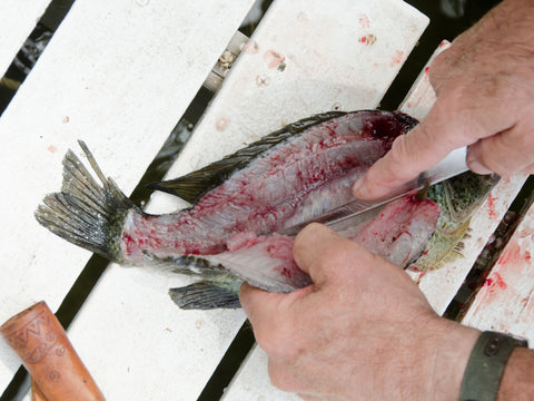 Person expertly filleting a fish on a white surface, demonstrating professional technique.