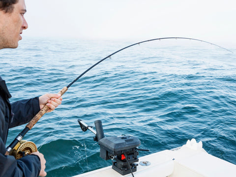 Get the Ultimate Guide to Offshore Fishing