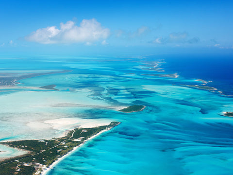 one of the most famous fishing areas in the world Bahamas