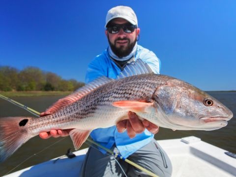 9 Best Redfish Lures & Baits in 2023 - Cast and Spear