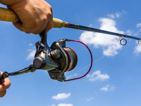 Spinning Reel Sizes