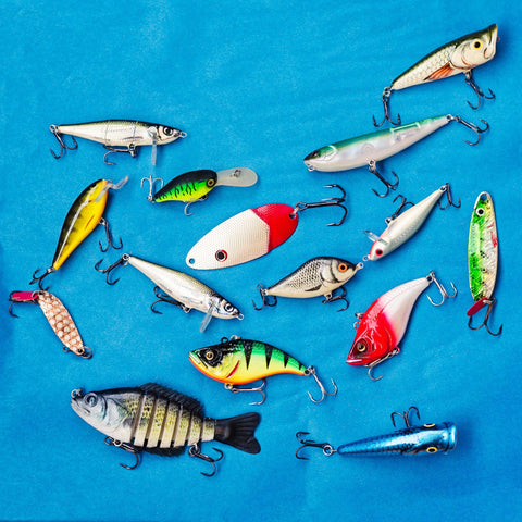 6 Must-Have Fishing Lures for Your Tackle Box