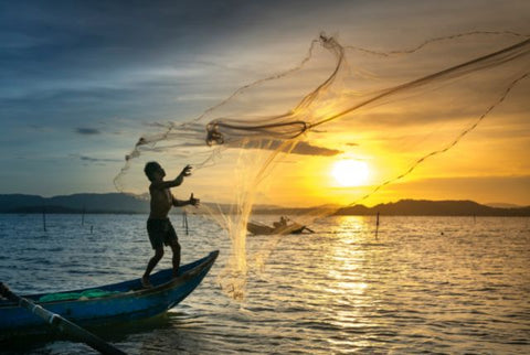 Ancient Kite Fishing Technique Makes Its Way Into Modern Waters