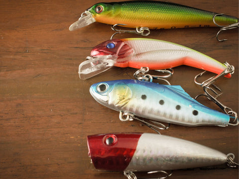 Split Rings Fishing: What are Split Rings and How to Use Them
