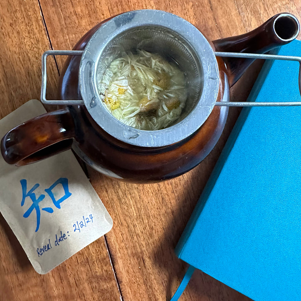 Juhua Ju hua chysanthemum steeping.