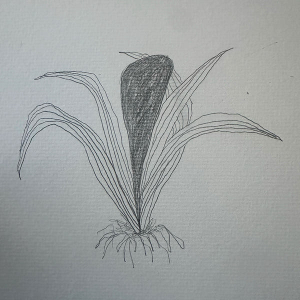 Plantain Seed Meditation, Che qian zi, Drawing of experience of heaviness