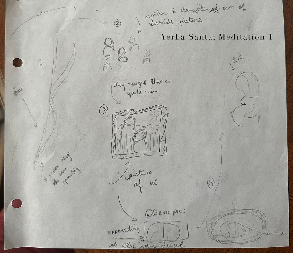 Pencil drawing of yerba santa information from Plant meditation club. It shows a mother and daughter being separated from the family and eventually individuating.