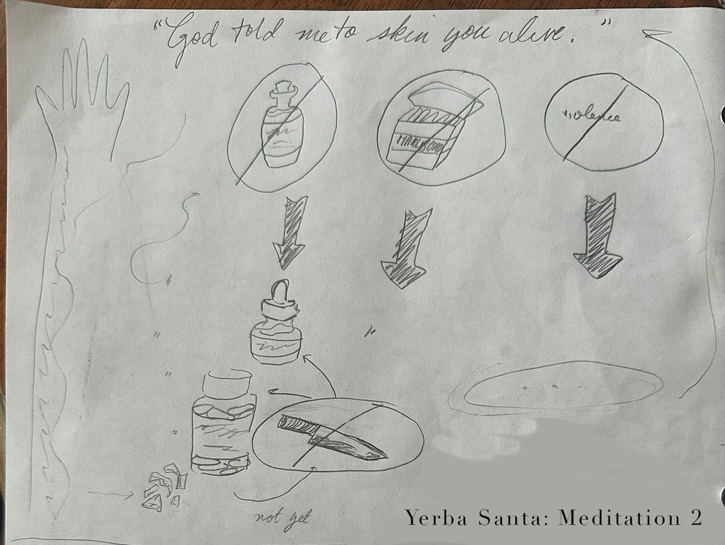 Yerba Santa, plant meditation club, drawing with information the plant is describing "God told me to skin you alive" lyric from Dead Kennedys, pencil drawing showing miscarriages due to alcohol, drugs, and violence and later the herb helping.