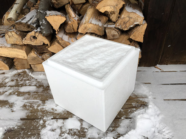 snow covered strongbox