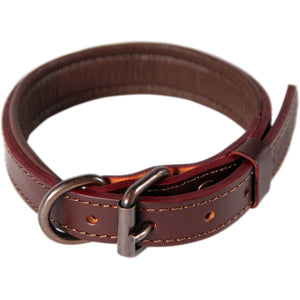 logical leather padded dog collar