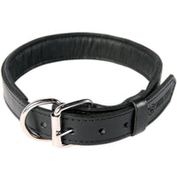 logical leather padded dog collar