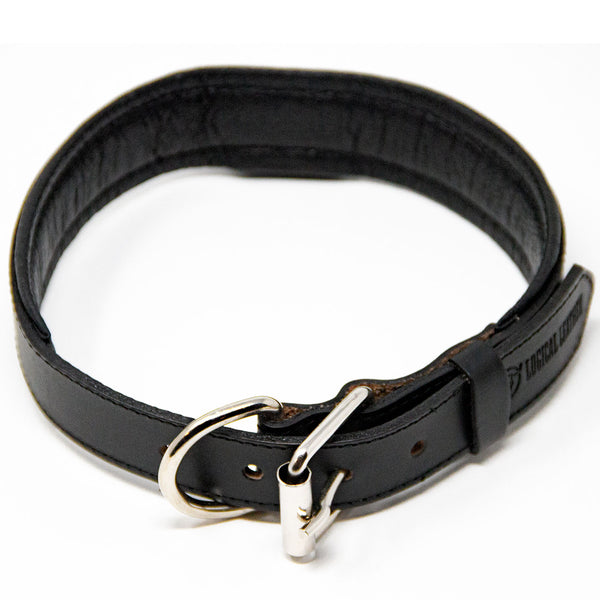 logical leather padded dog collar