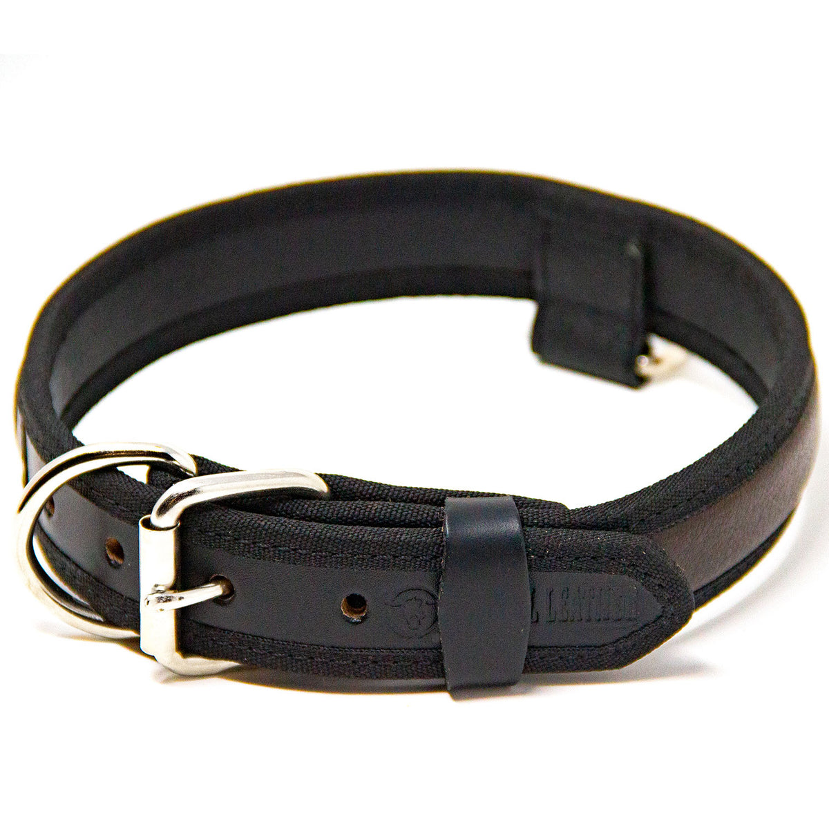 premium dog collars