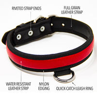 logical leather padded dog collar