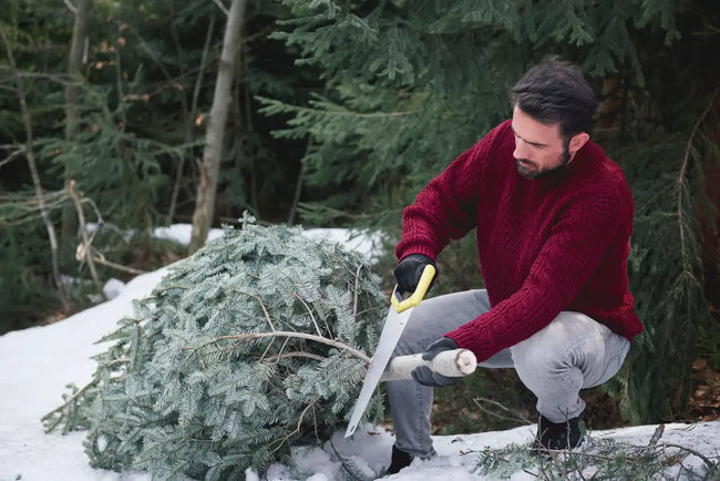 man in winter work gloves cutting Christmas tree