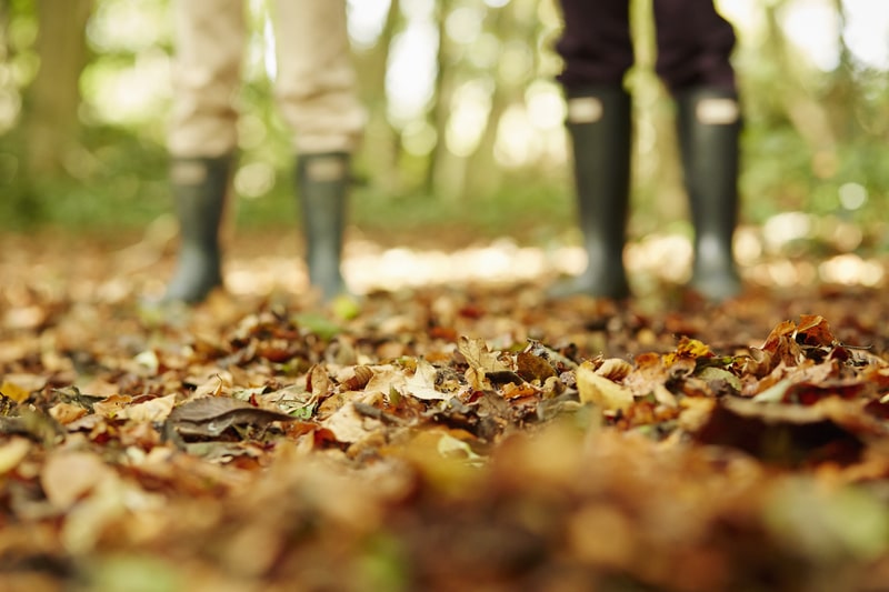 Two mans in wellington boots walking through the fallen leaves.