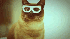 Si usas gafas, te sentirás identificado con estas 4 frases - Gato con Gafas