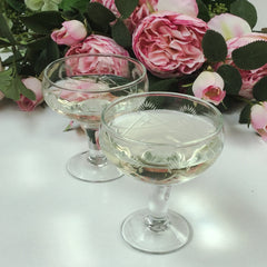 Vintage Style Champagne saucer