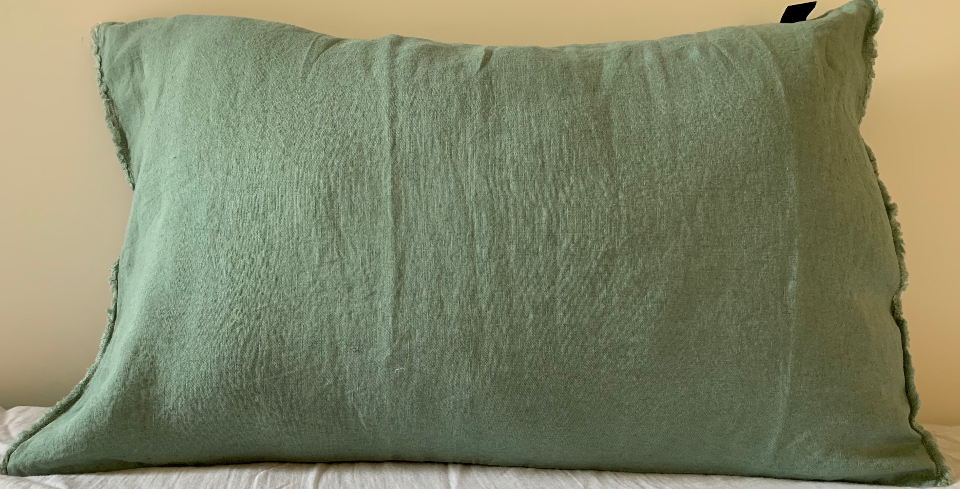 Housse de coussin en lin Giant Viti 55x110 cm Harmony Haomy, Celadon (Vert)