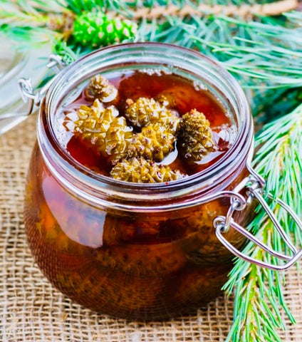 pine cone jam