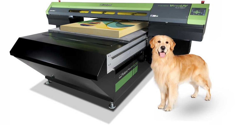 UV Printer and Golden Retriever