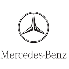 Raingler Nets Installation for Mercedes Benz
