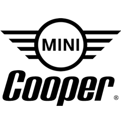 Raingler Nets Installation for Mini Cooper
