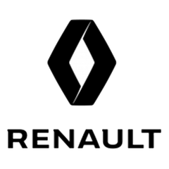Raingler Nets Installation for Renault