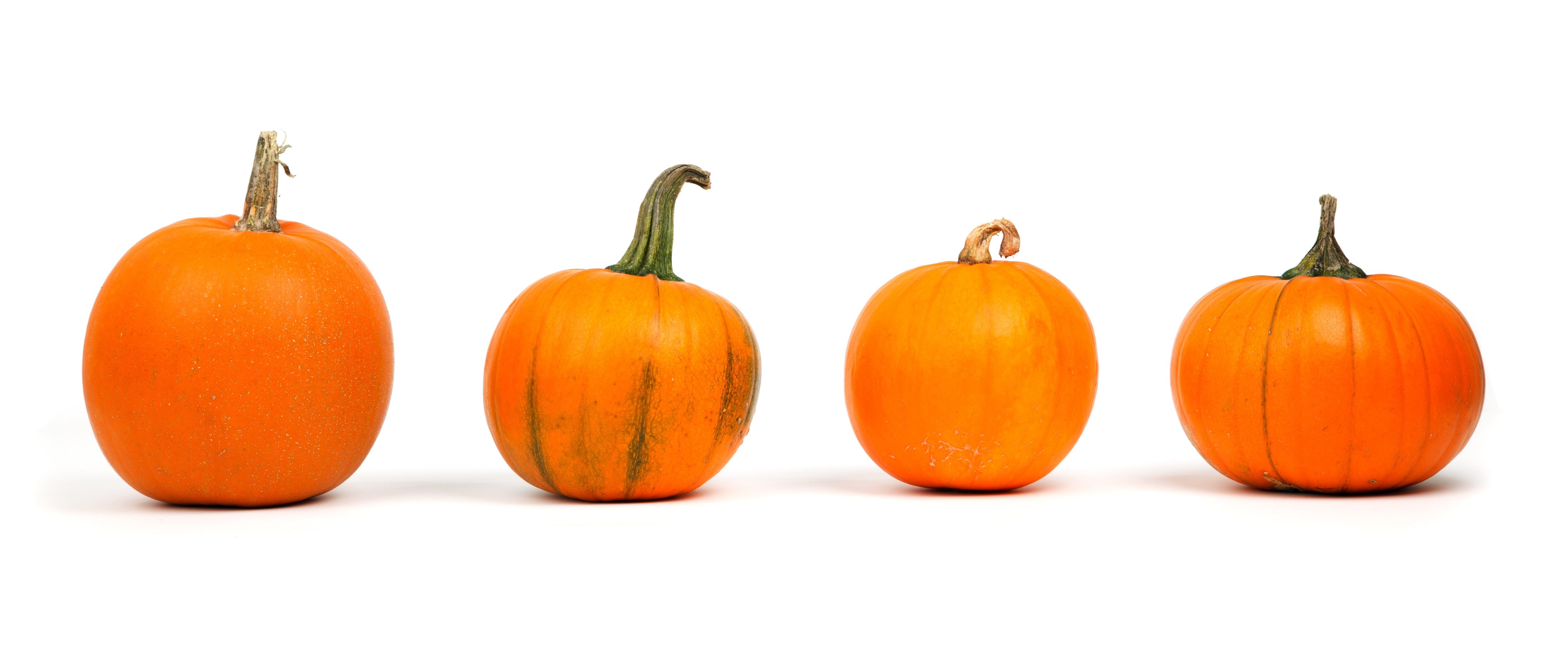 PUMPKIN SOUP
