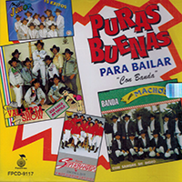 Puras Buenas Para Bailar Con Banda (CD Varios Artistas) Fonovisa-9117
