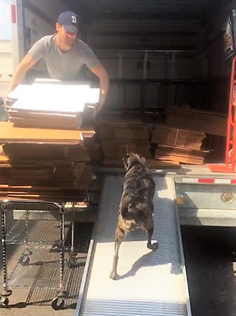 Ziggy-Helping-Move-From-Old-SportHooks-Warehouse