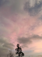 Nacreous Cloud