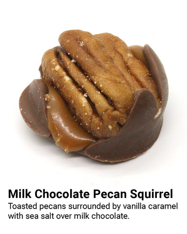 milk chocolate pecan squirrel