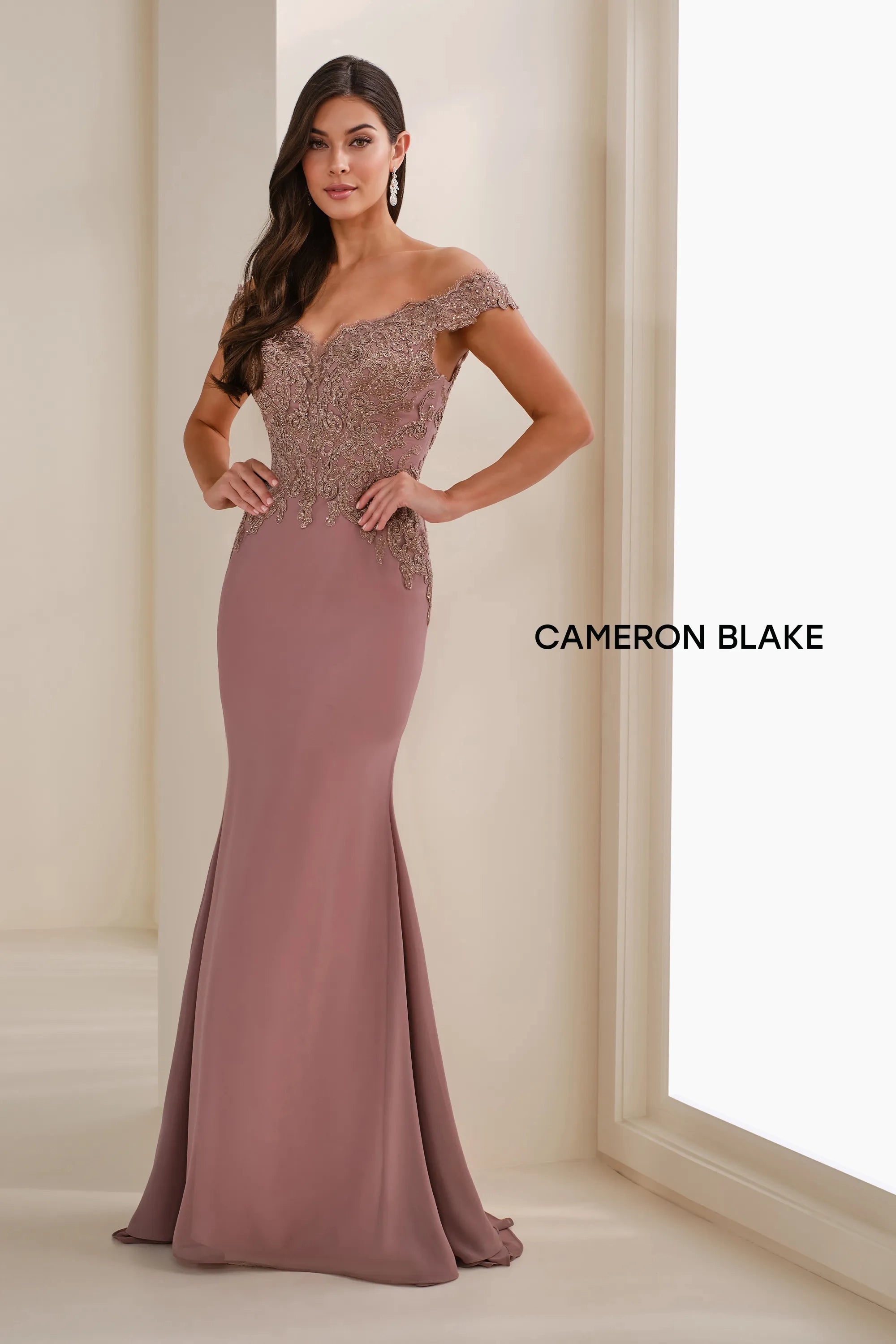 Cameron Blake Cb907 Long Formal Lace Applique Evening Dress In Multi
